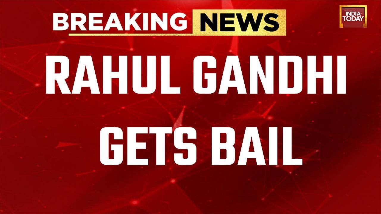 Rahul Gandhi Defamation Case: Rahul Gandhi Gets Bail In Defamation Case, Next Hearing On May 3